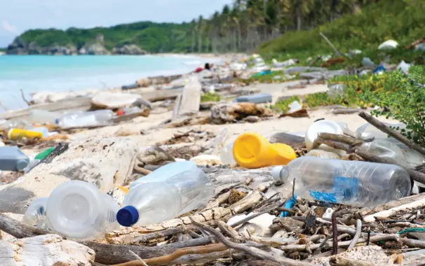 Least Harmful Plastic